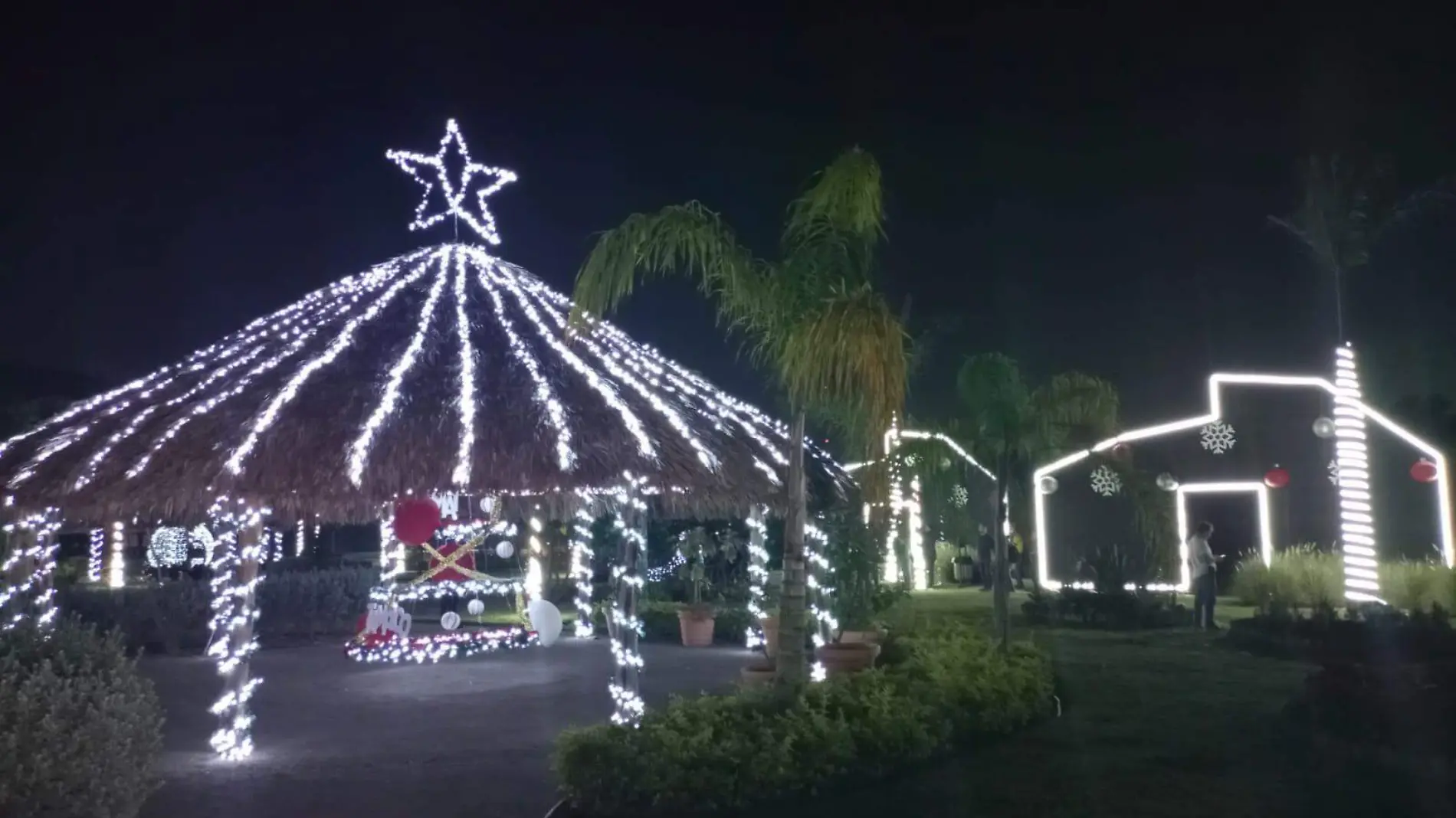 Encienden luces navideñas en Vivero Didáctico de Tampico 